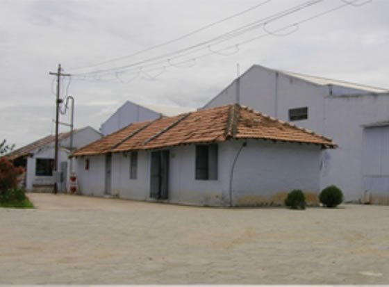 Plant 2